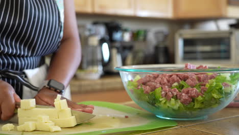 dicing cheese to add to the salami and romaine lettuce salad - antipasto salad series