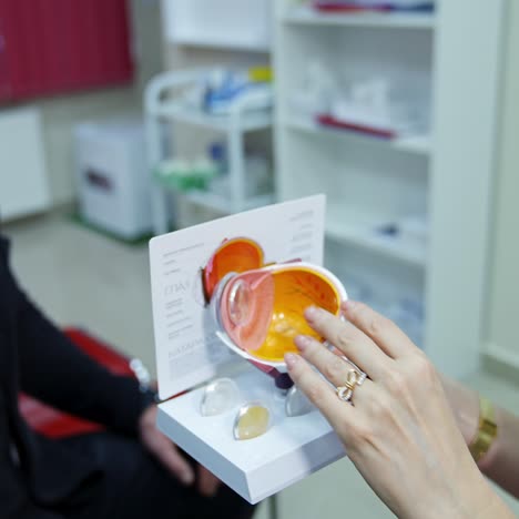 ophthalmologist speaking to a patient. female optometrist holding an eye layout and showing lenses to a patient in clinic
