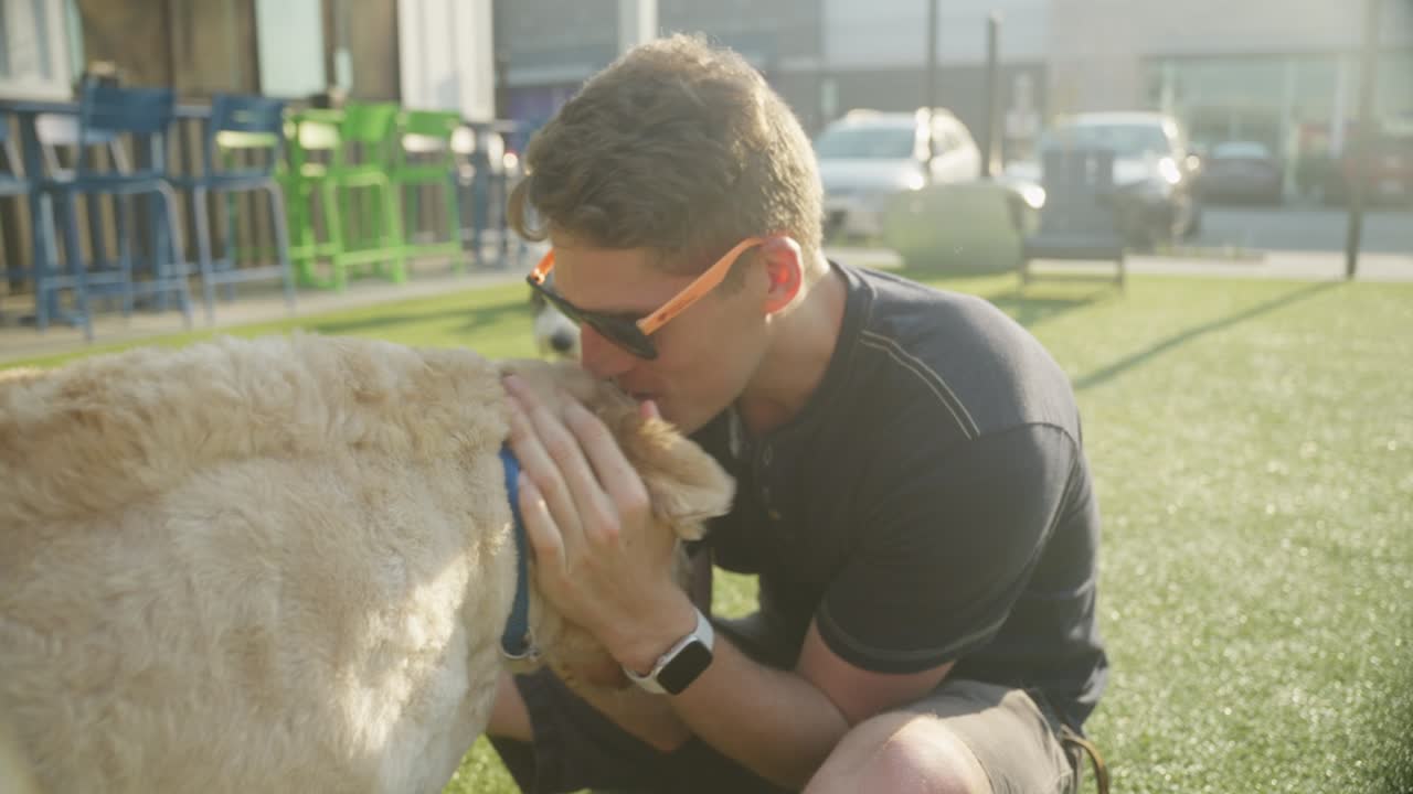 Um homem brinca com cachorros em um parque canino urbano ao ar livre.