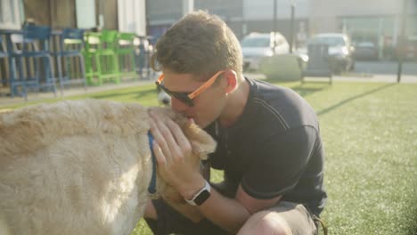 a man plays with dogs at outdoor urban dog park