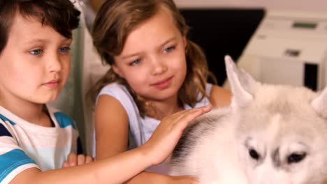 children stroking dog