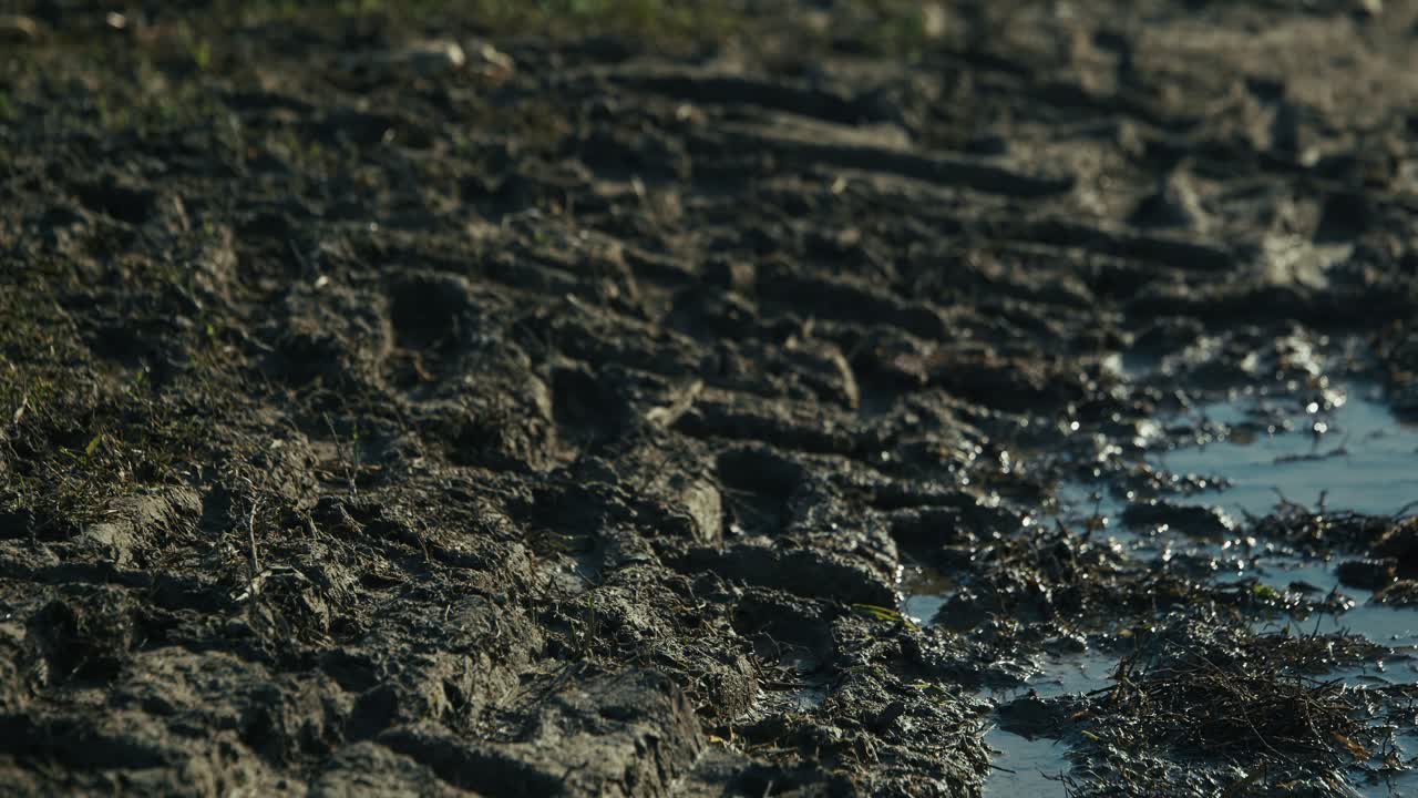 muddy terrain with deep footprints and puddles at Lonjsko Polje Krapje