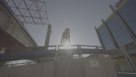 parkour in urban environment