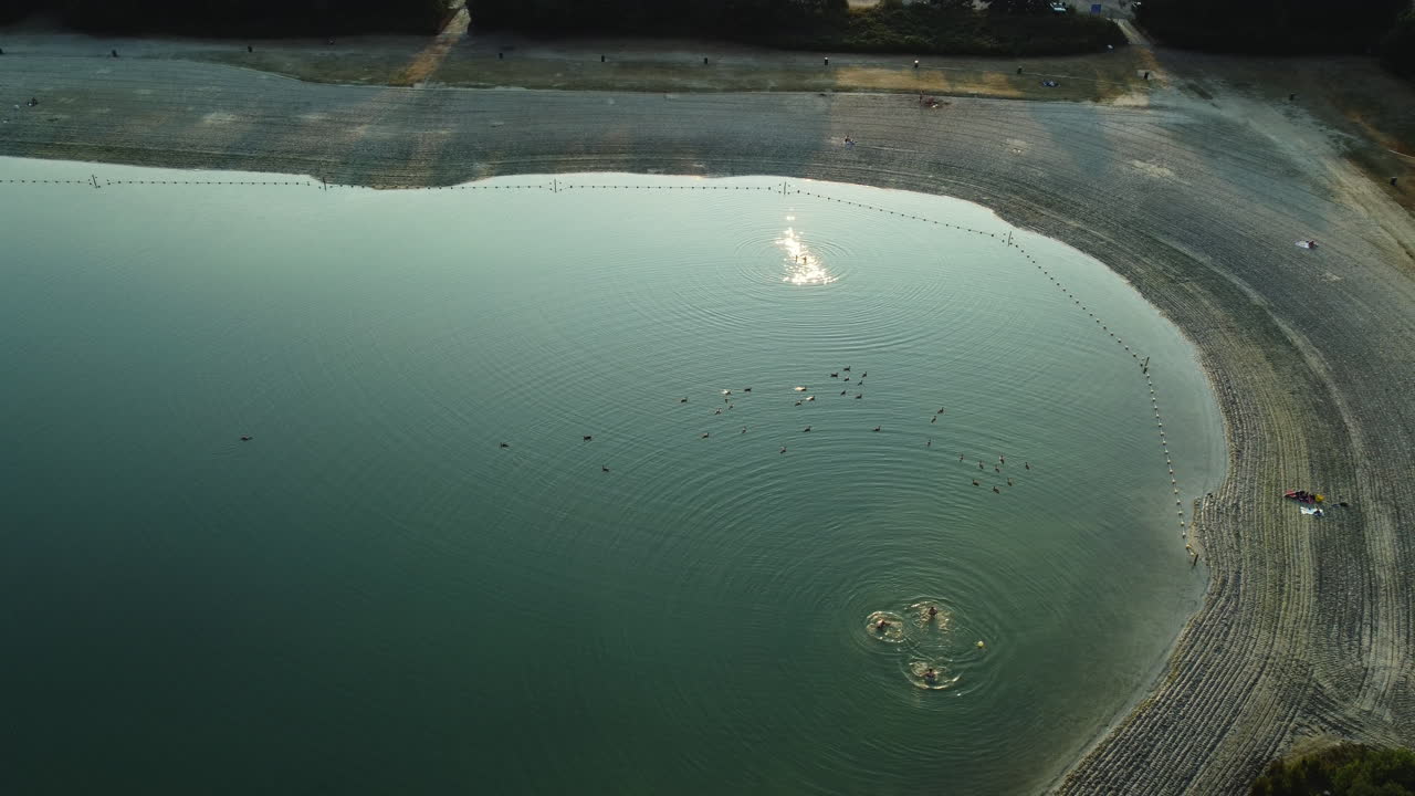 Aerial View of a Lake with People Swimming and Ducks