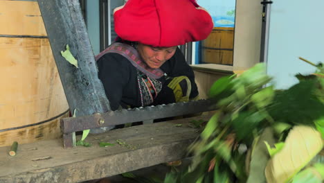 black dao woman preparing herbal plants with traditional tools indoors