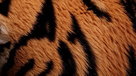 tiger fur pattern