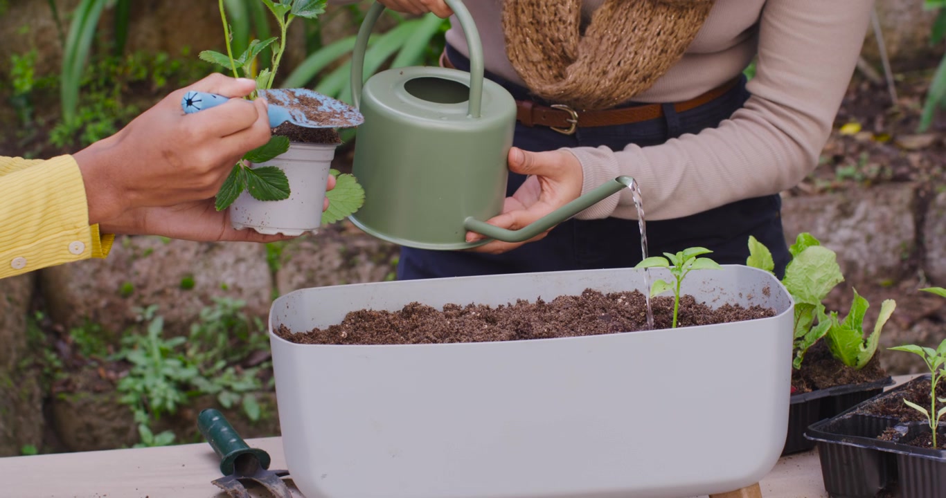 African American women loosening pot with blue trowel, planting plant into planter, pouring water