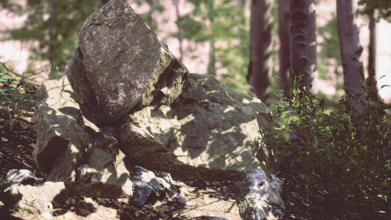 Rock formation surrounded by lush greenery in a peaceful forest area