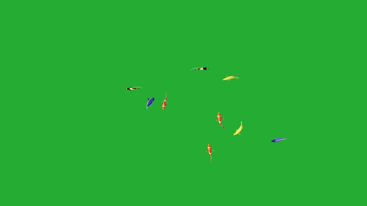 수영 수족관 물고기 녹색 화면 배경으로 모션 그래픽