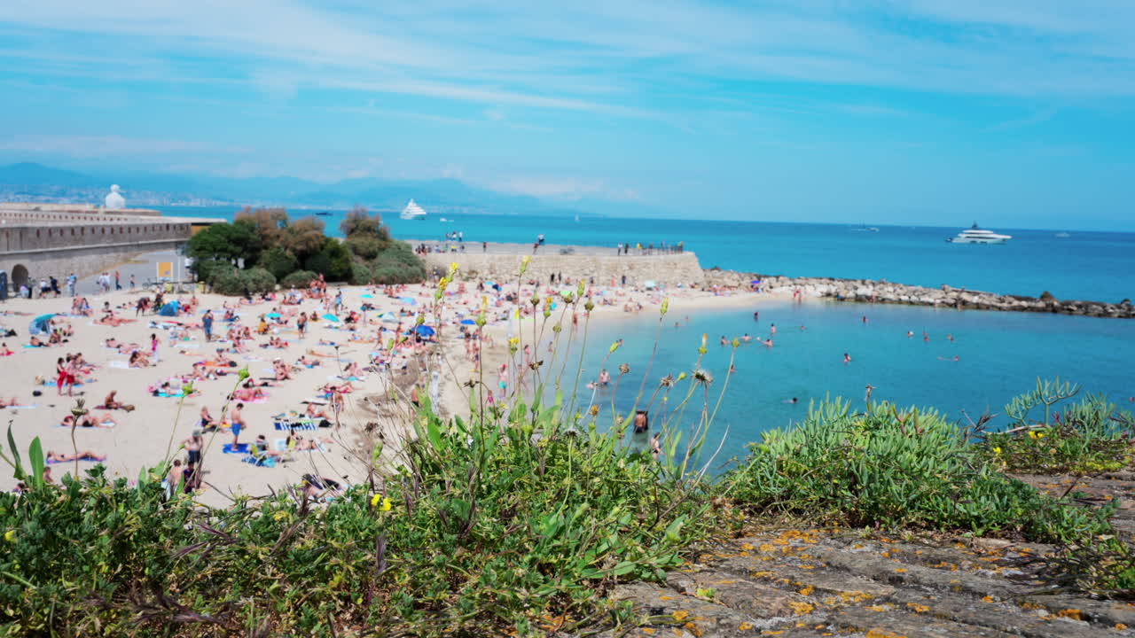 Close up of a plant with a blurred view of people relaxing on the Gravette beach in Antibes, France