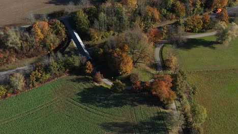 view at colorful trees in the fall season with driving cars at the street nearby, high angle view from a drone