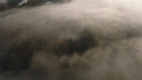 foggy clouds enveloping the autumnal forest trees in sherbrooke, quebec canada