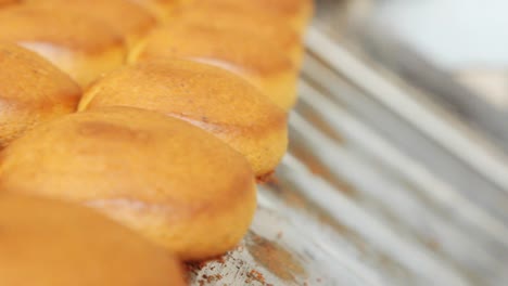 cookies on production line at bakery factory. bakery production