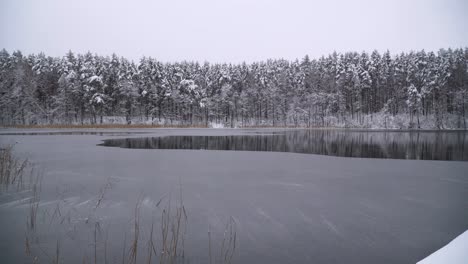 a shot of a snow-covered dock and frozen lake surrounded by pine tree forest in cold winter