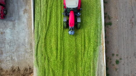 two tractors making silage in turkey