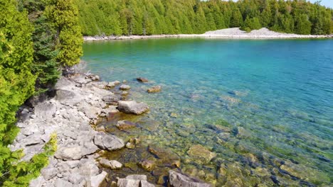 Drone-flies-along-wooded-coast-with-rocky-white-grey-shoreline-into-green-water-bay-in-Canada