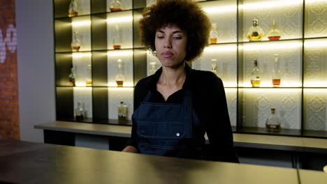 bartender cleaning the counter