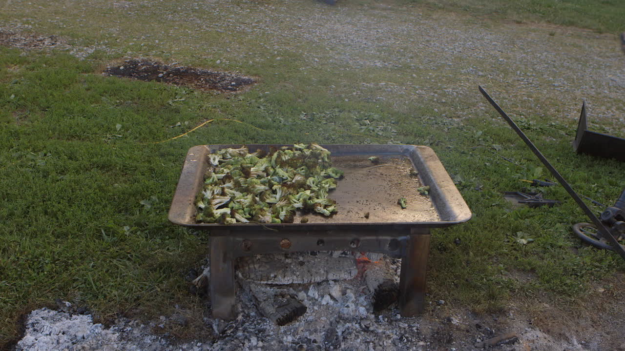 쟁반에 있는 브로콜리는 바비큐에서 불에 구워집니다.