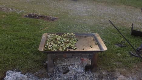 broccoli in a tray roasts over a fire at a barbecue