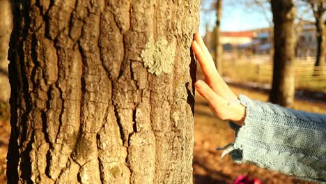 Joven-Caucásica-Acaricia-Un-árbol-En-El-Bosque-Al-Atardecer,-Primer-Plano