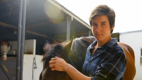 woman stroking horse at stable 4k