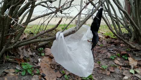 bolsa de plástico y mascarilla quirúrgica colgando de un árbol de rama contaminando el ambiente, estático, día