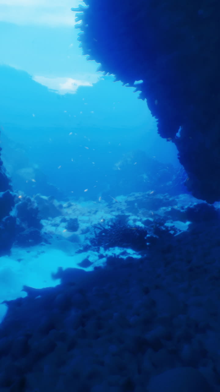 Exploring a tranquil underwater landscape with sunlight filtering through