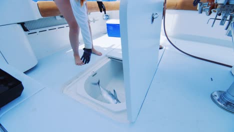 closeup, woman dropping small tuna into a yacht cooler