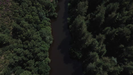 Río-Que-Fluye-Chambre-Au-Loup-Valle,-Bosque-Brocéliande,-Bretaña-En-Francia