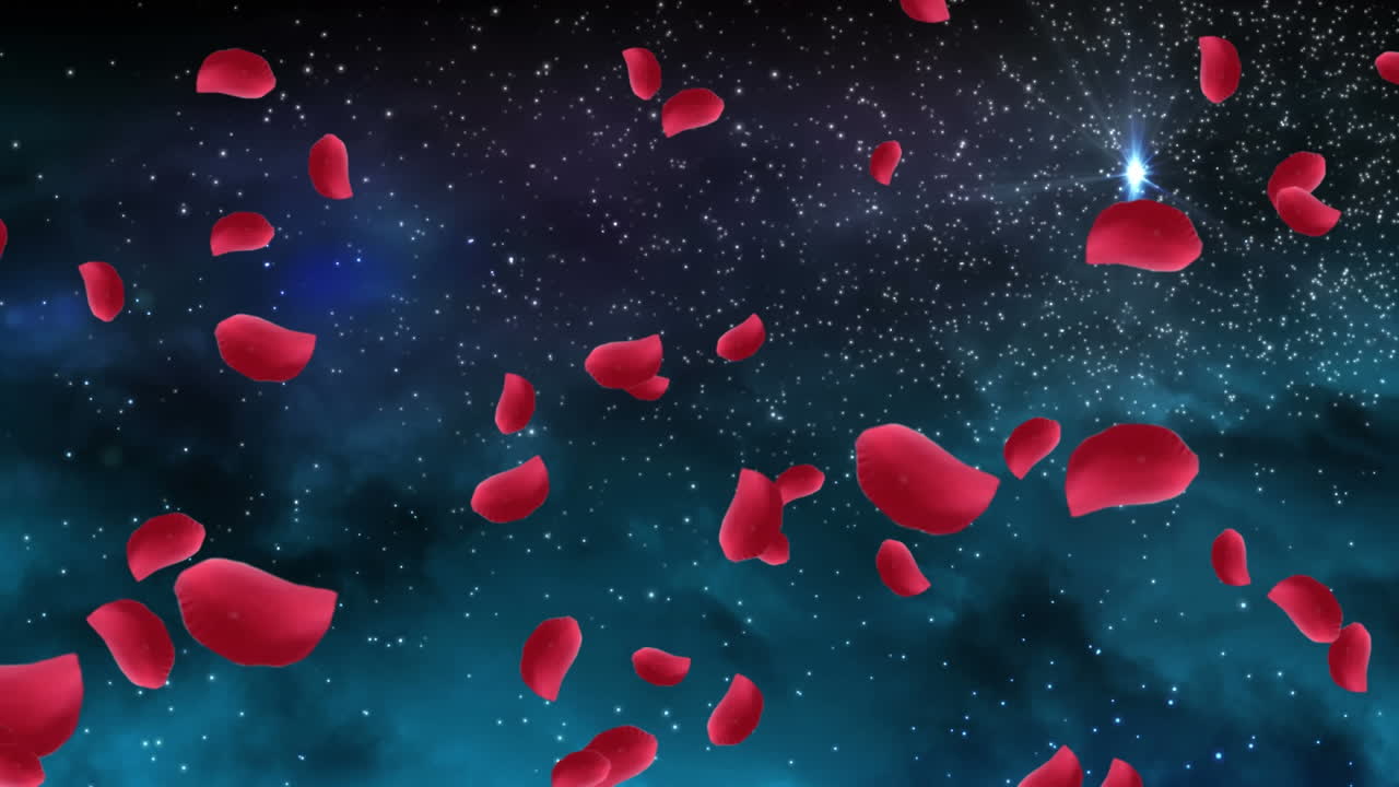 꽃잎과 별의 애니메이션 크리스마스