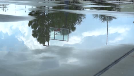 reflections in wet basketball court mirror reflecting playground hoop and trees