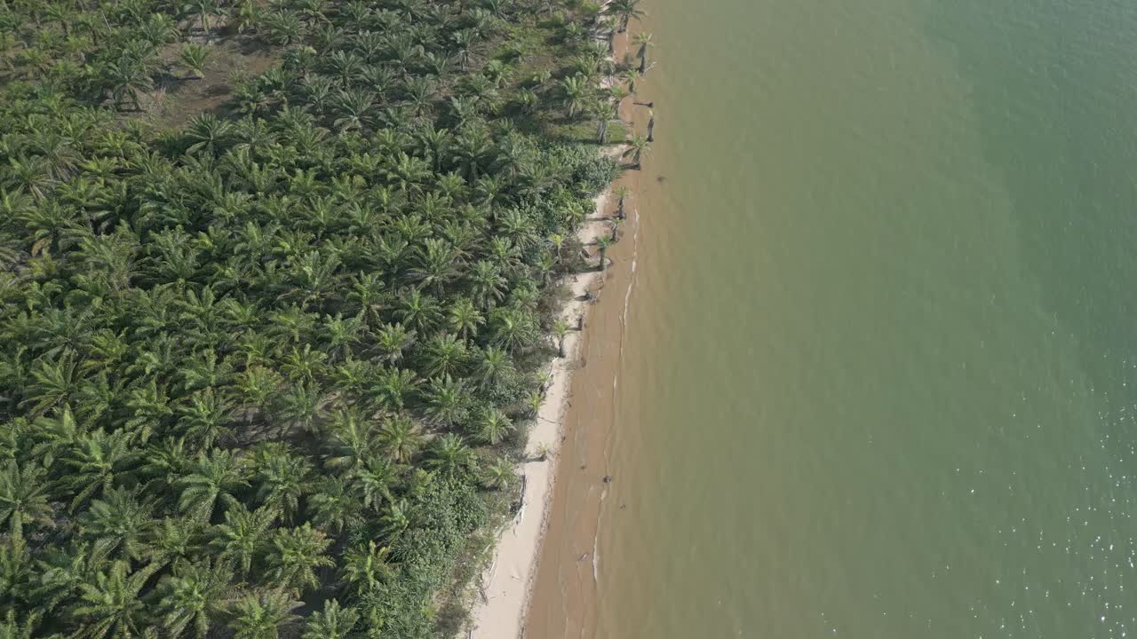 Aerial Drone View During Summer Alit Fishing Village,Kabong With, Facing Open Blue Sea, White Sandy Beach,Green Coconut, Palm Trees,And River,Sarawak,Borneo
