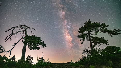 low angle shot of star movement in timelapse at night from foothills mount olympus at christakis location in cyprus