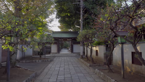 sunset time is one of the best times to walk along the paths of the temples in tokyo, every detail and design is very thought out and elaborated to give a very contemplative atmosphere