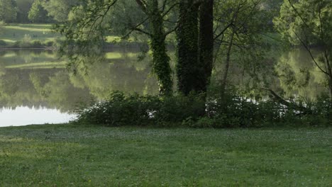 Dolly-Aufnahme-Bei-Sonnenaufgang-Mit-Bäumen,-Die-Sich-Im-See-Spiegeln