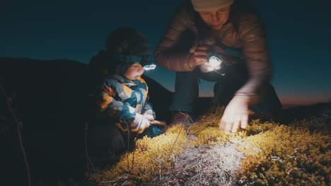 hike in arctic at night. mother hikes with her toddler daughter in the arctic area and search berries with torch