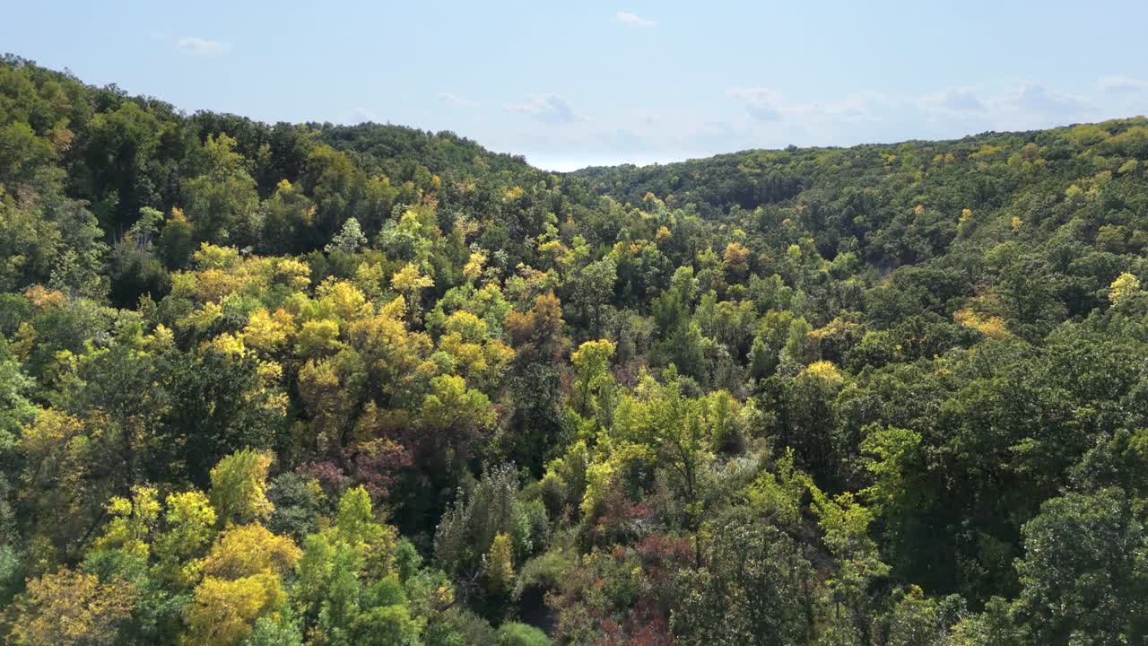 Filmagem de drone da paisagem florestal do vale de Pembina, com uma mistura de verde exuberante e folhagem amarela em estágio inicial. Colinas onduladas e bosques densos mostram uma transição sazonal natural.