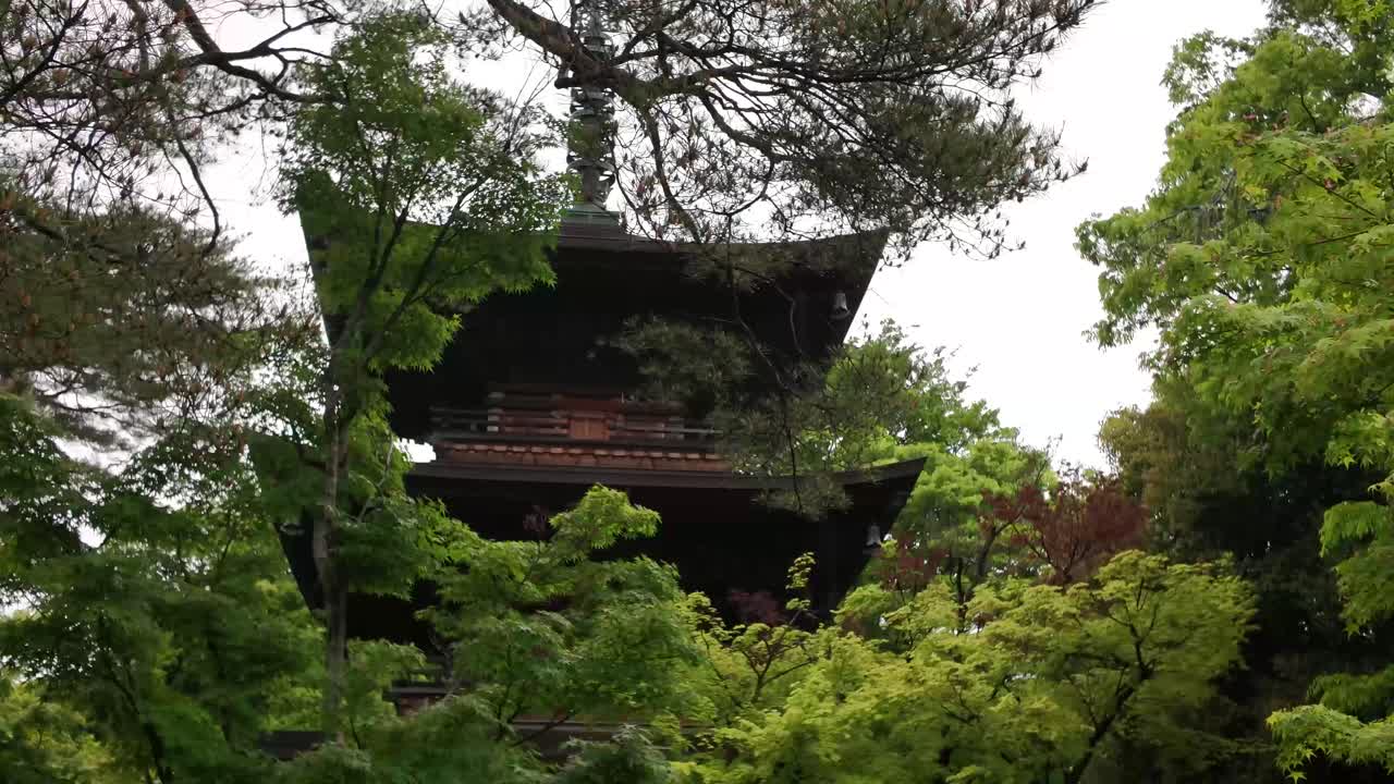 Gotokuji Buddhist temple pagoda Setagaya ward of Tokyo, Japan Maneki-neko