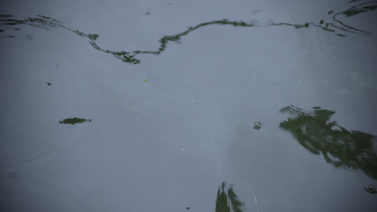 un movimiento lento de la gota de lluvia en el agua el estanque primer plano de un día lluvioso