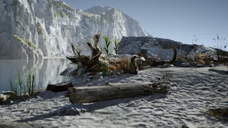 white-sand-beach-near-rocky-cliffs-at-ocean