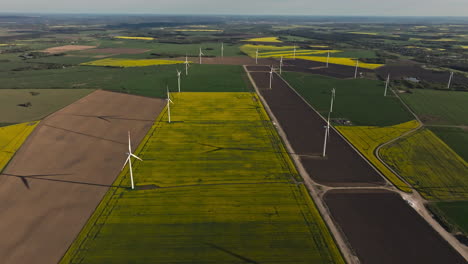 canola fields with wind turbines in the farm. - aerial shot