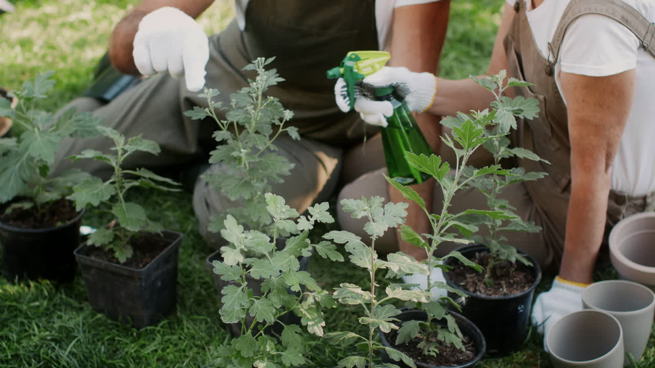 Couple Gardening and Watering Plants