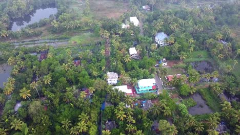 aerial view of lush green indian village with coconut trees, scattered houses, ponds, serene roads, showcasing rural lifestyle, nature’s charm, calm environment, and authentic village life