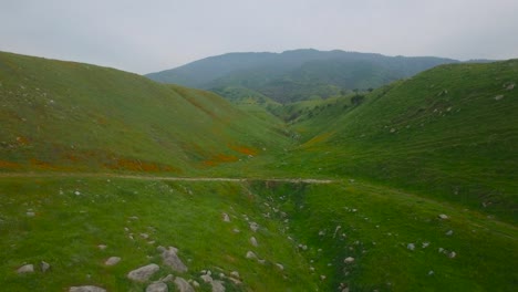 Eine-Niedrige-Antenne-über-Einem-Canyon-Aus-Mohn-Und-Wildblumen-In-Kalifornien