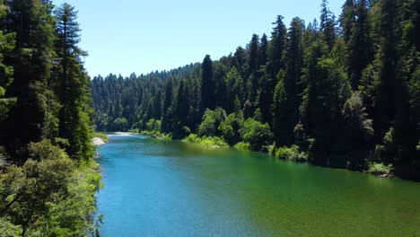 drone through trees and emerald colored water