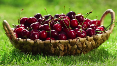 Las-Cerezas-Frescas,-Maduras-Y-Jugosas-Giran.-Cereza-Roja-En-El-Sentido-De-Las-Agujas-Del-Reloj