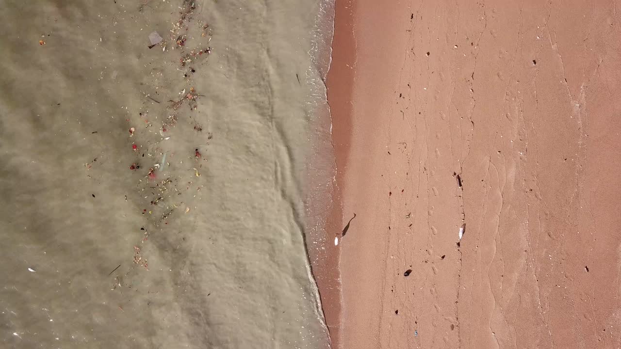 오염된 바다  ⁇ 에서 먹이를 찾는 새들