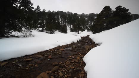 Montañas-Nevadas-Y-Bosques-De-Pinos-En-El-Mediterráneo