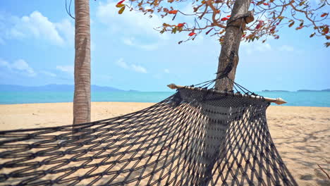 Empty-hammock-hanging-between-trees-above-sand-on-tropical-beach-with-sea-horizon-in-background,-static-shot