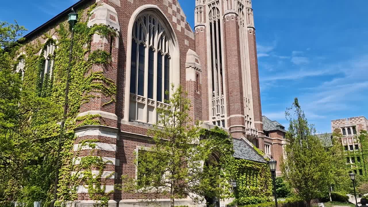 Università di Chicago, USA, Tower e Saieh Hall per l'economia, piante rampicanti sull'edificio e giornata primaverile soleggiata